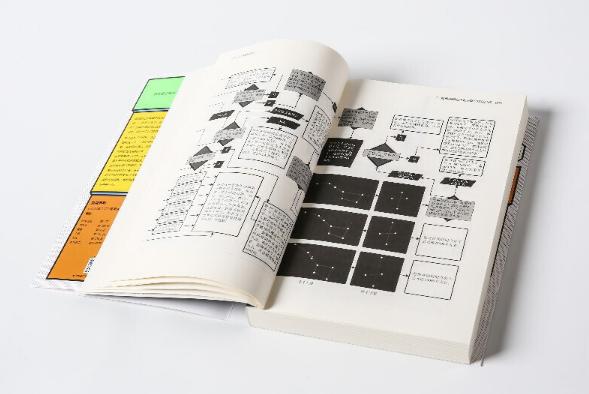 【佛了个印】文明归零，看看造物主会创造什么？