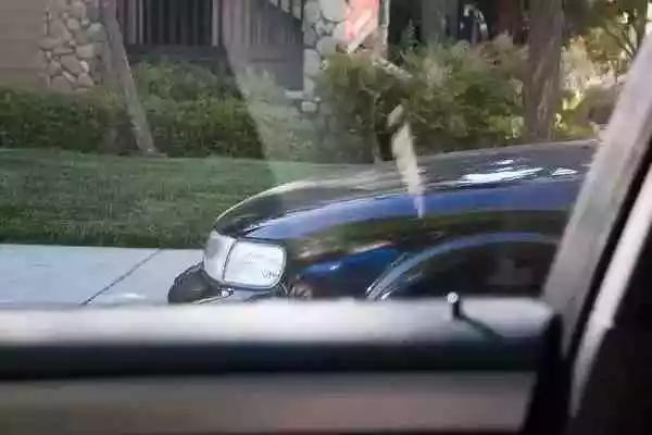 爆米花的坐骑：对不起 我可能要颠覆你调节后视镜的方法了