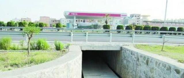 「金乡县电视台」高速上开过了出口？怎么办？这样掉头又安全，还不用扣分