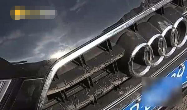 「车式样」浙江女车主将车停在车库里，几天后“面目全非”，车损五位数