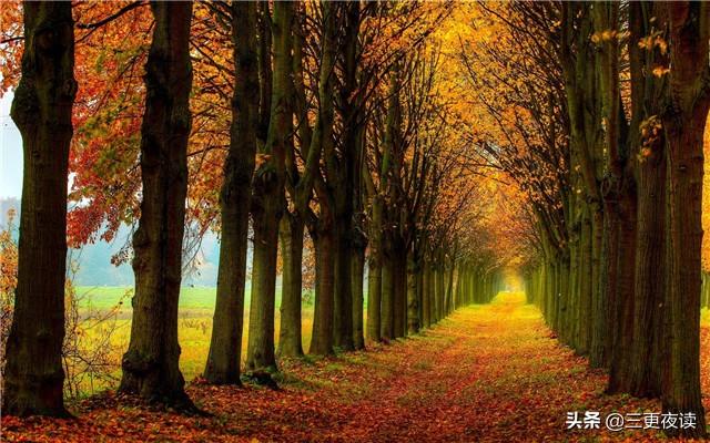 柠檬美文：做一个平静的人，做一个善良的人