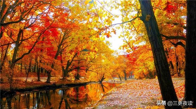 柠檬美文：做一个平静的人，做一个善良的人