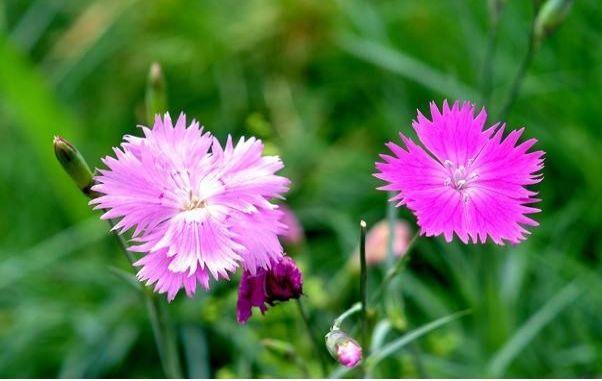 励志视频短片■让心情，行走在阳光下