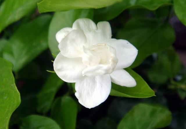 励志视频短片■让心情，行走在阳光下