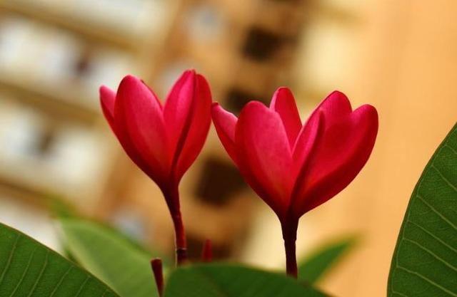 励志视频短片■让心情，行走在阳光下