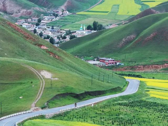 一枚老愤青：身体和灵魂，总有一个要在酒里！