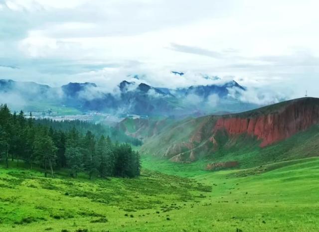 一枚老愤青：身体和灵魂，总有一个要在酒里！