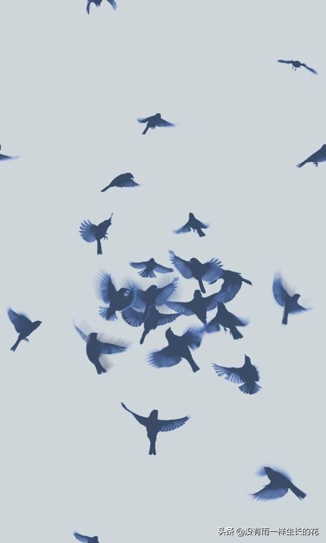 「没有雨一样生长的花」真正爱一个人时会想什么？