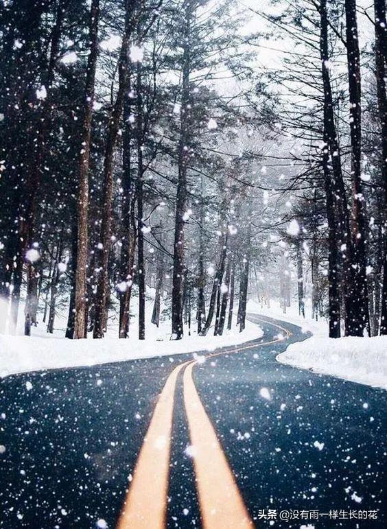 「没有雨一样生长的花」真正爱一个人时会想什么？