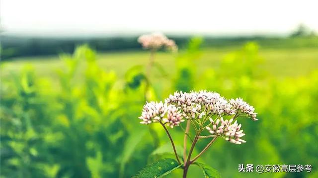 #浅浅情感说#生活都是残酷的，所以自己要坚强才真的，没有谁靠谁。