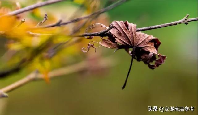 #浅浅情感说#生活都是残酷的，所以自己要坚强才真的，没有谁靠谁。