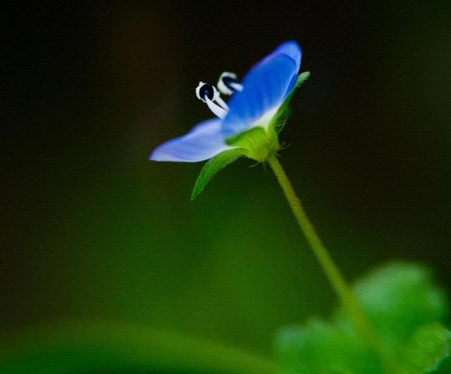 职场是什么@人到四十觉得这三件事很苦，20年后会如何？过来人：这根本不是苦