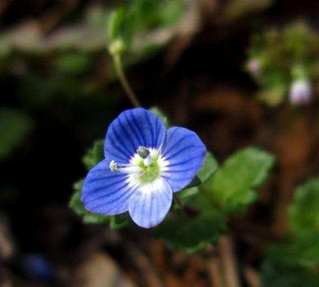 职场是什么@人到四十觉得这三件事很苦，20年后会如何？过来人：这根本不是苦