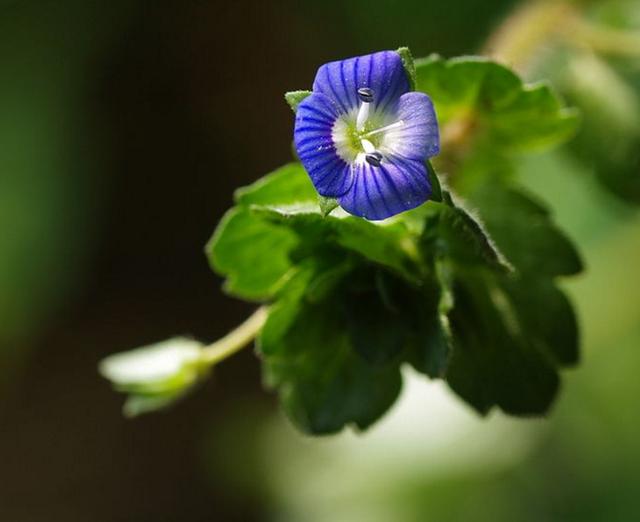 职场是什么@人到四十觉得这三件事很苦，20年后会如何？过来人：这根本不是苦