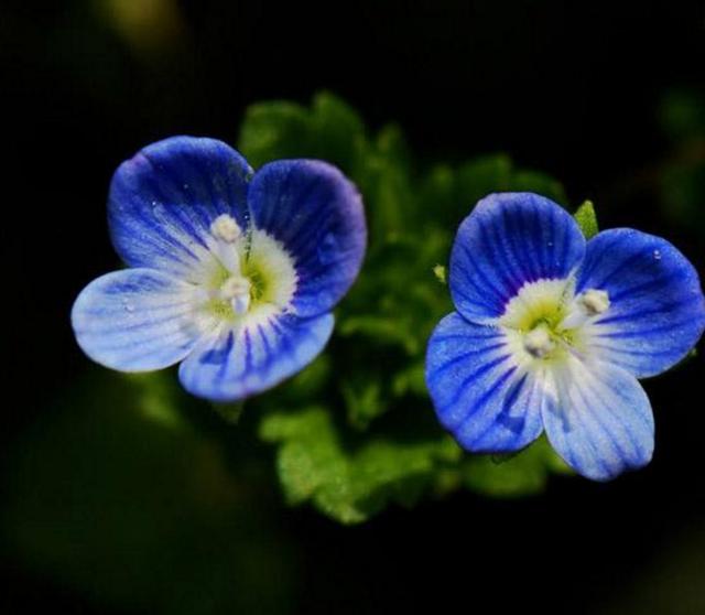 职场是什么@人到四十觉得这三件事很苦，20年后会如何？过来人：这根本不是苦