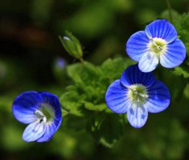 职场是什么@人到四十觉得这三件事很苦，20年后会如何？过来人：这根本不是苦