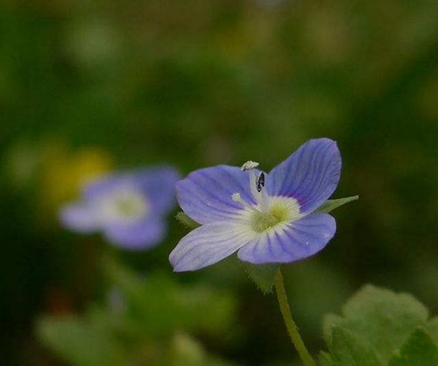 职场是什么@人到四十觉得这三件事很苦，20年后会如何？过来人：这根本不是苦