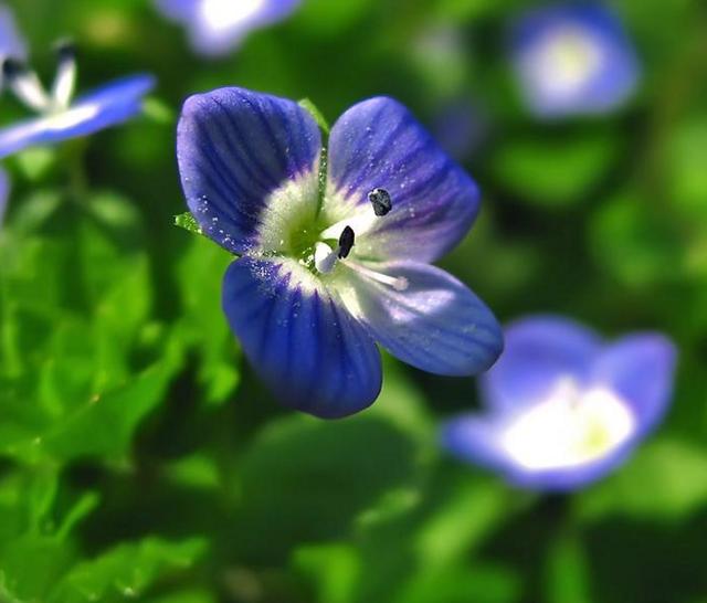 职场是什么@人到四十觉得这三件事很苦，20年后会如何？过来人：这根本不是苦