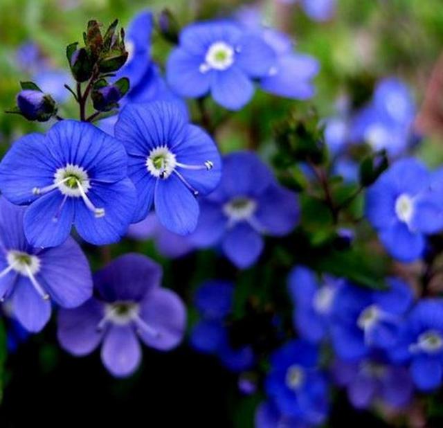 职场是什么@人到四十觉得这三件事很苦，20年后会如何？过来人：这根本不是苦