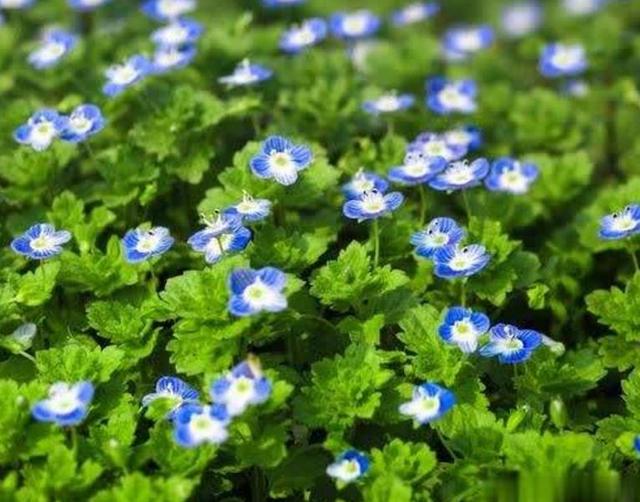 职场是什么@人到四十觉得这三件事很苦，20年后会如何？过来人：这根本不是苦