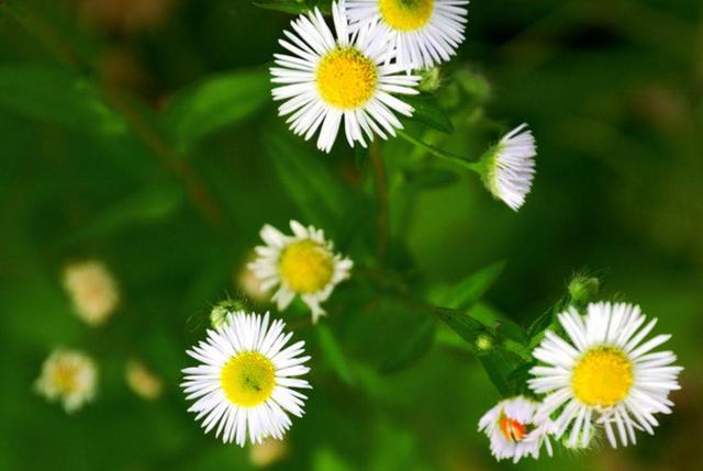 [成功职场宝典]做人要懂得：人穷休入众，位卑莫劝人