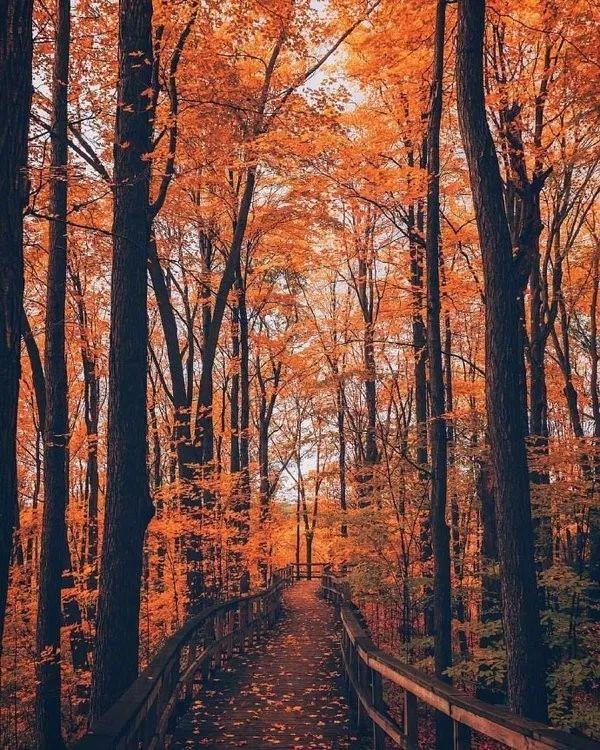 【感悟人生哲理句子】将来有一天，会认同的正能量句子