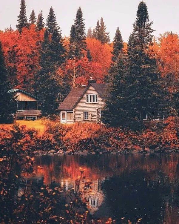 【感悟人生哲理句子】将来有一天，会认同的正能量句子