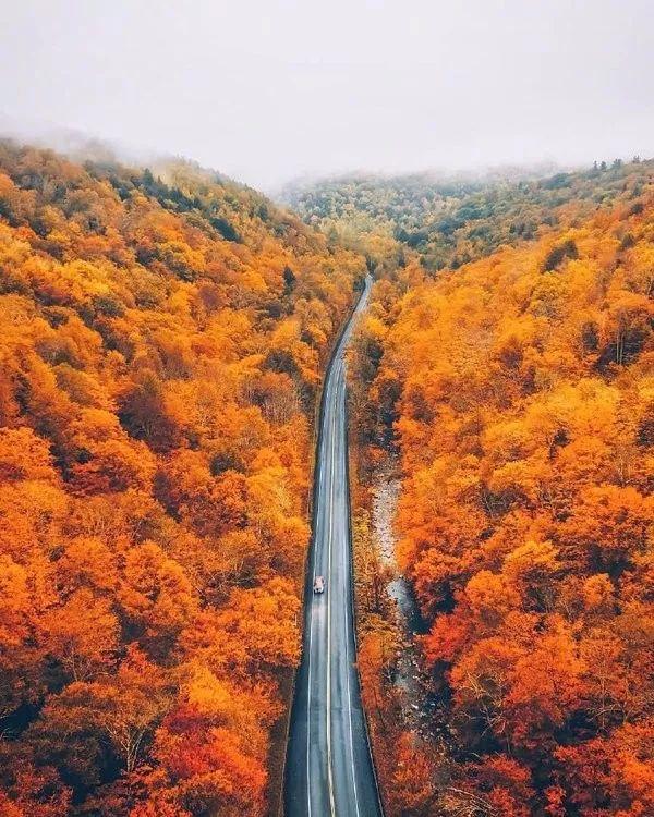 【感悟人生哲理句子】将来有一天，会认同的正能量句子