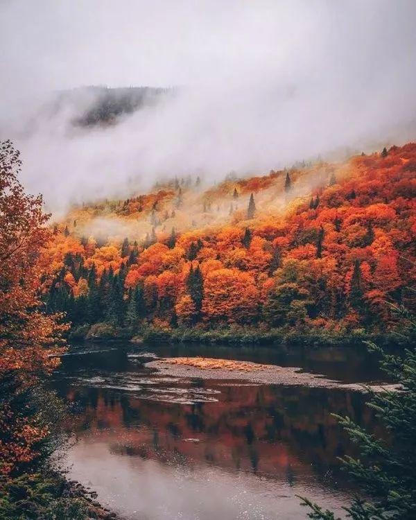 【感悟人生哲理句子】将来有一天，会认同的正能量句子