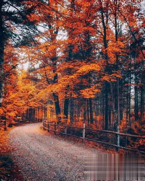 【感悟人生哲理句子】将来有一天，会认同的正能量句子