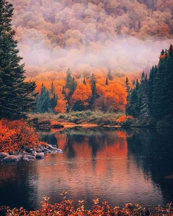 【感悟人生哲理句子】将来有一天，会认同的正能量句子