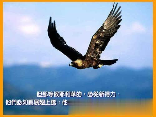 【天地过客268419432lm】我们要活成什么样的人