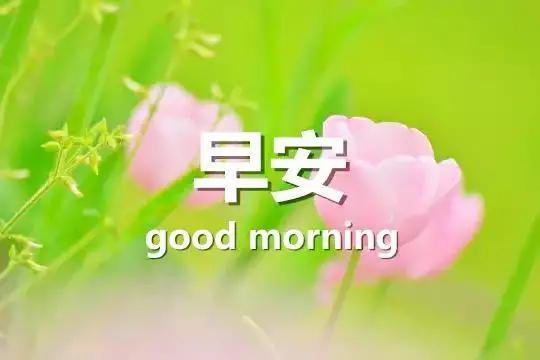 「大人在呼吸」无需拒绝平淡，无需恐惧风雨；让灿烂拥抱脆弱，用珍惜感恩过往