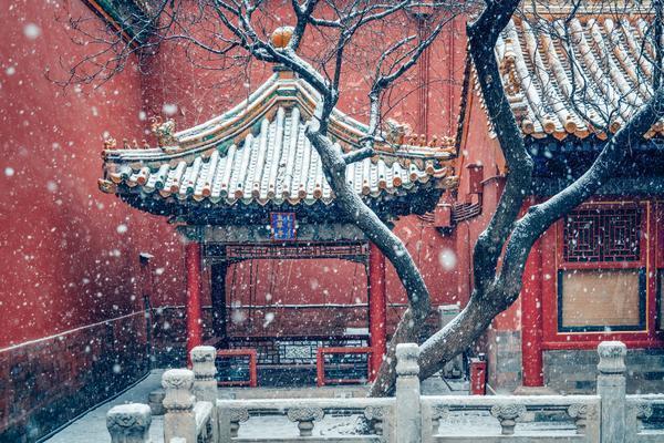 「人民网」你努力的样子，时间都知道