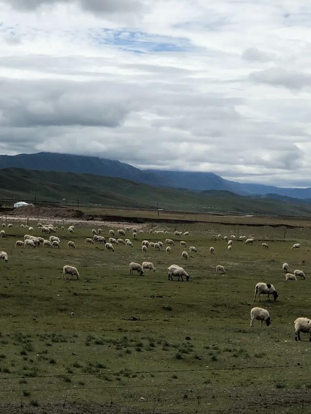 「老树根茶舍」钱是人心衡器，它能让你看清一个人