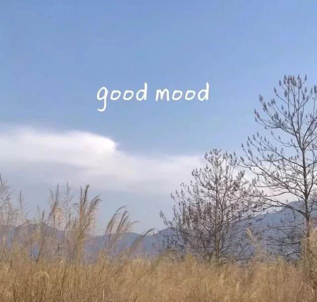 給誰@“好的感情 不是一下子就把你感动晕”