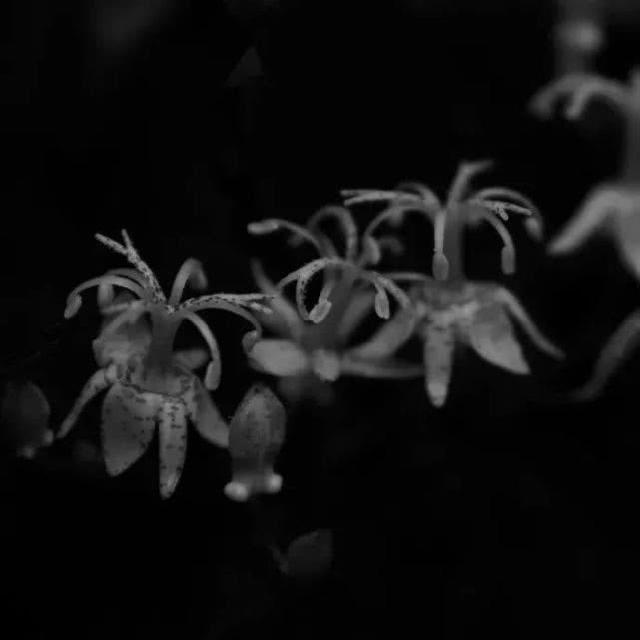 給誰@“好的感情 不是一下子就把你感动晕”