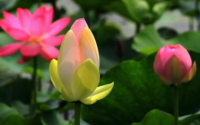 【校园留声机】人一辈子，养个好身体，活个好心情