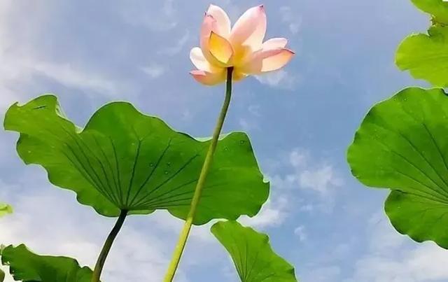 【校园留声机】人一辈子，养个好身体，活个好心情