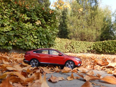 「汽车之家」分享车模，分享车知识，逸动在石凳上面摆拍，效果挺好