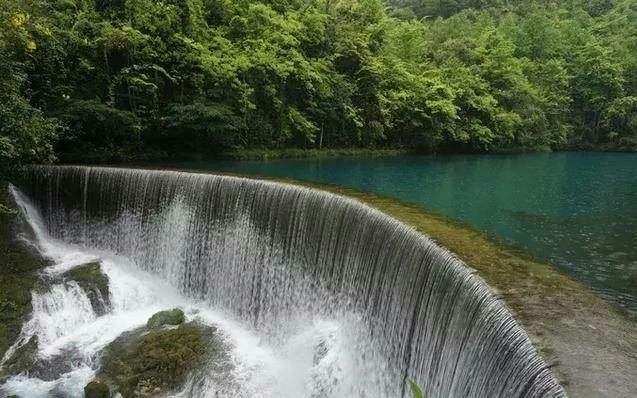 玫瑰情感：有些话确实可以改变一个人一生