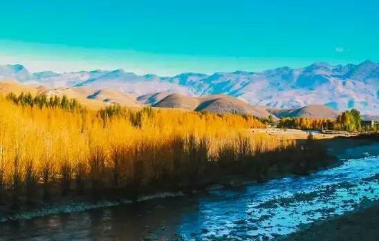 玫瑰情感：有些话确实可以改变一个人一生