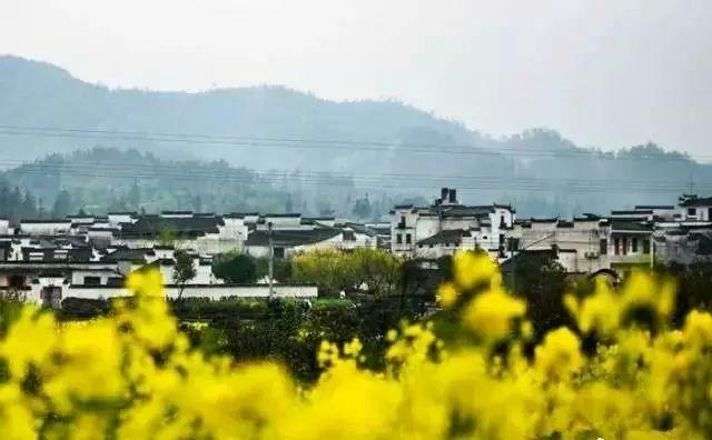 玫瑰情感：有些话确实可以改变一个人一生