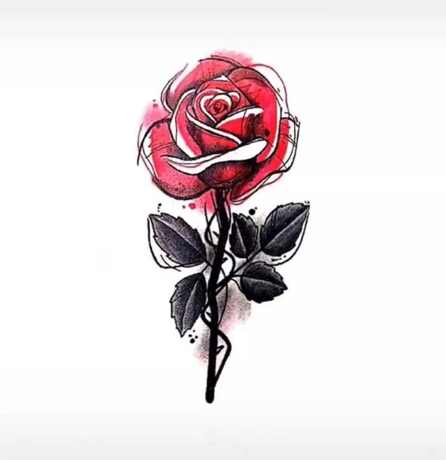 「玫瑰情感」孤独是用来享受的