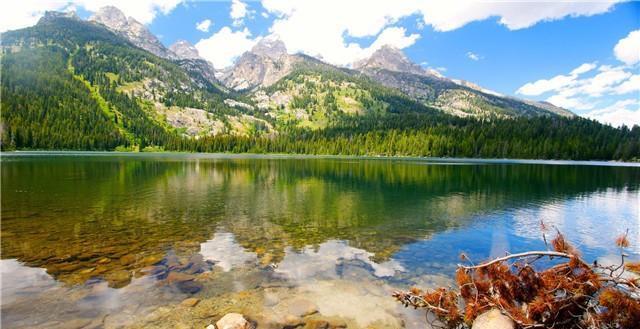 [禅读TB]远处是风景，近处是人生