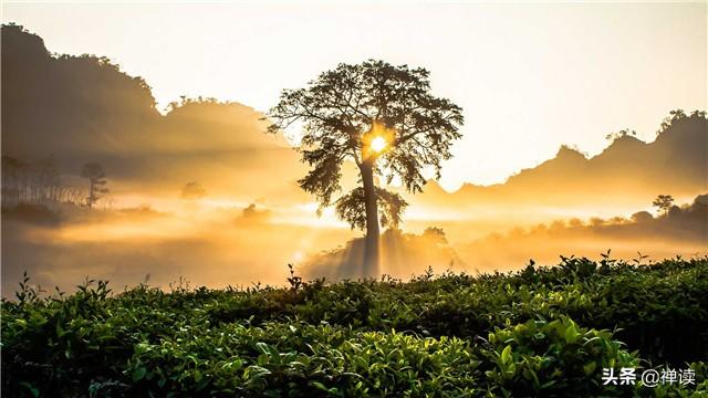 「柠檬顶起」你走过的每一条弯路，其实都是必经之路