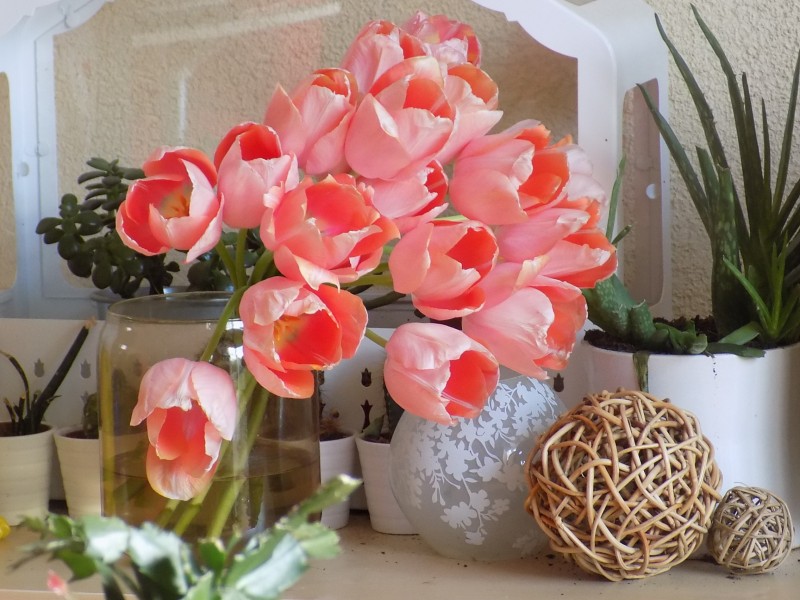 遨游科技的海洋@有“直男癌”的三大生肖男，喜欢和妻子计较，从来不会主动