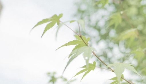 #谈笑风生浊酒一杯#这样发朋友圈的人，真的很讨厌！直接删了