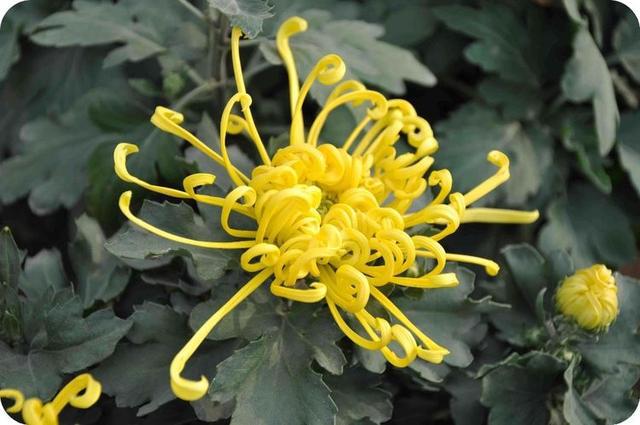 「感悟哲理美文」男人也很脆弱，女人要懂男人的这些弱点？