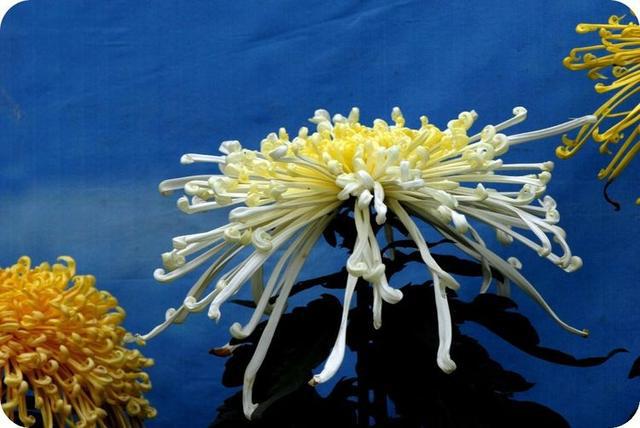 「感悟哲理美文」男人也很脆弱，女人要懂男人的这些弱点？